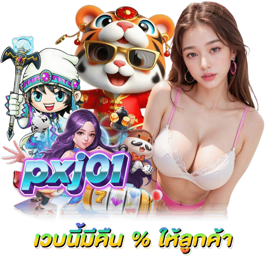 PXJ01 ทางเข้า กำไรดี